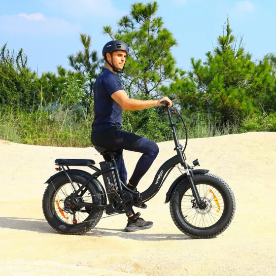 Windgoo E20 Pro - foldable fatbike - 250W / 12.5Ah