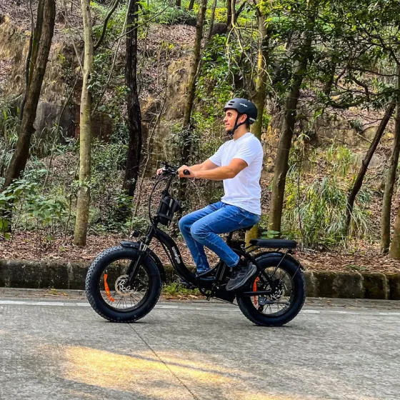 Windgoo E20 Pro - foldable fatbike - 250W / 12.5Ah