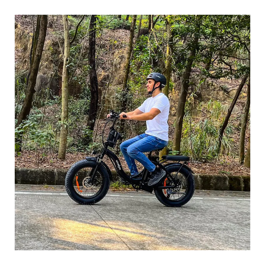 Windgoo E20 Pro - foldable fatbike - 250W / 12.5Ah