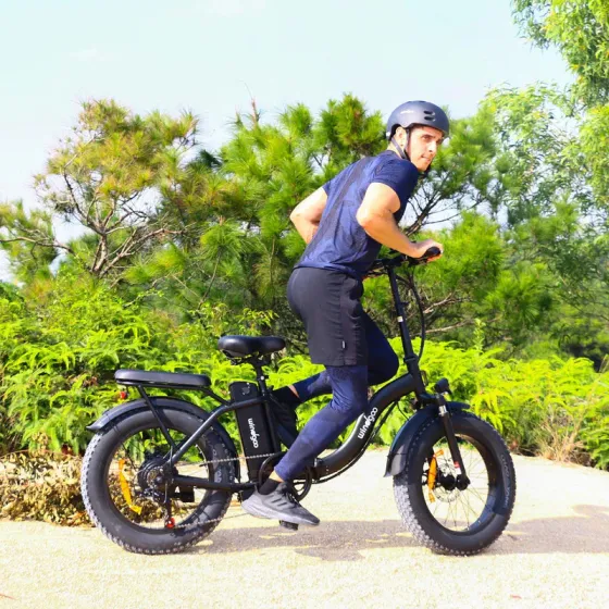 Windgoo E20 Pro - foldable fatbike - 250W / 12.5Ah