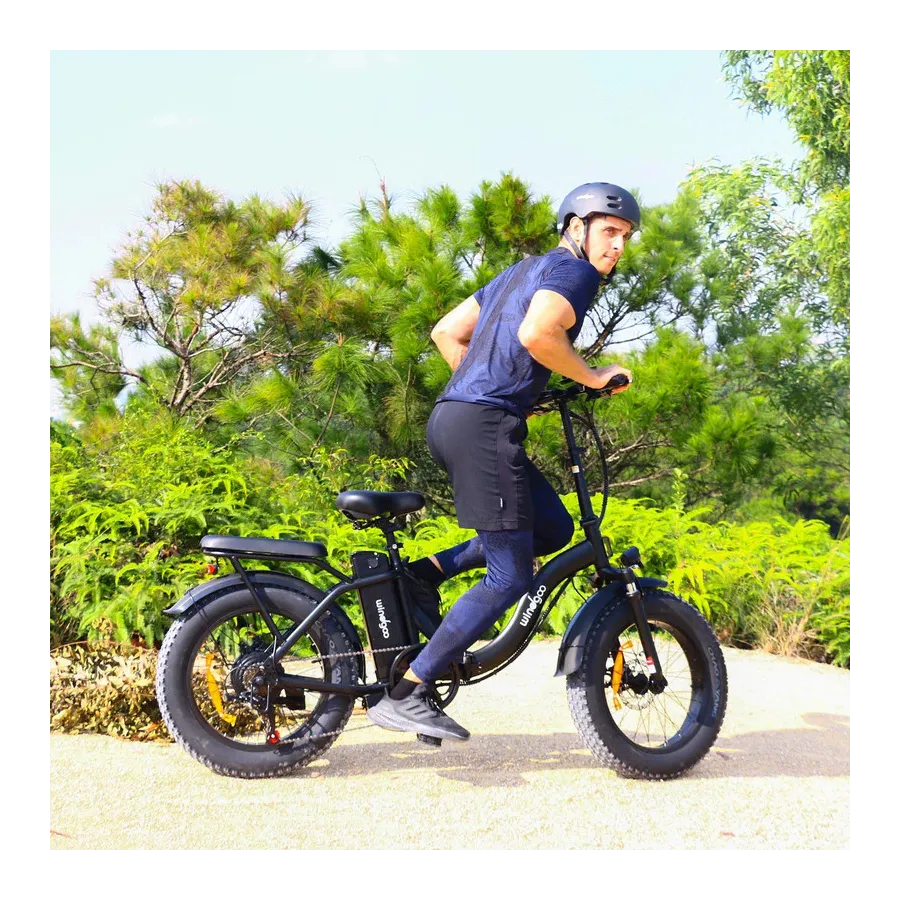 Windgoo E20 Pro - foldable fatbike - 250W / 12.5Ah