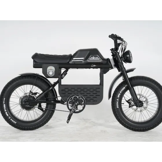 Ape Ryder Gibbon Electric Fatbike 250W / 20Ah / 48V