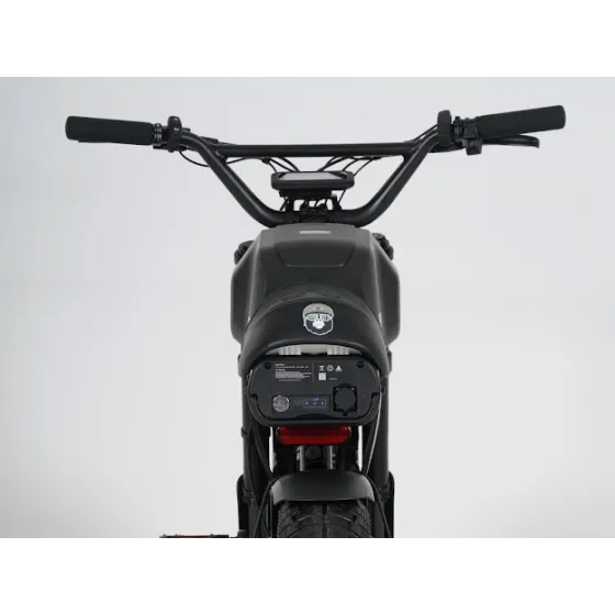 Ape Ryder Gibbon Electric Fatbike 250W / 20Ah / 48V