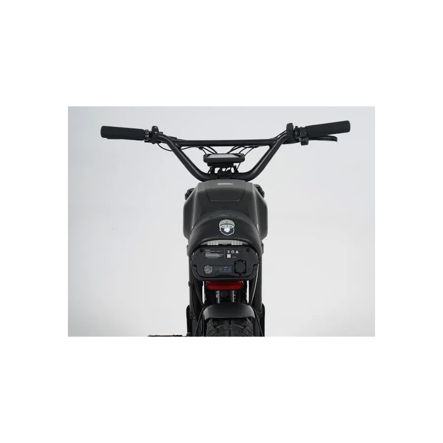 Ape Ryder Gibbon Electric Fatbike 250W / 20Ah / 48V