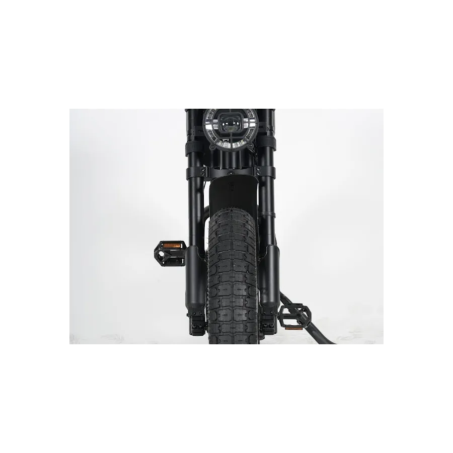 Ape Ryder Gibbon Electric Fatbike 250W / 20Ah / 48V