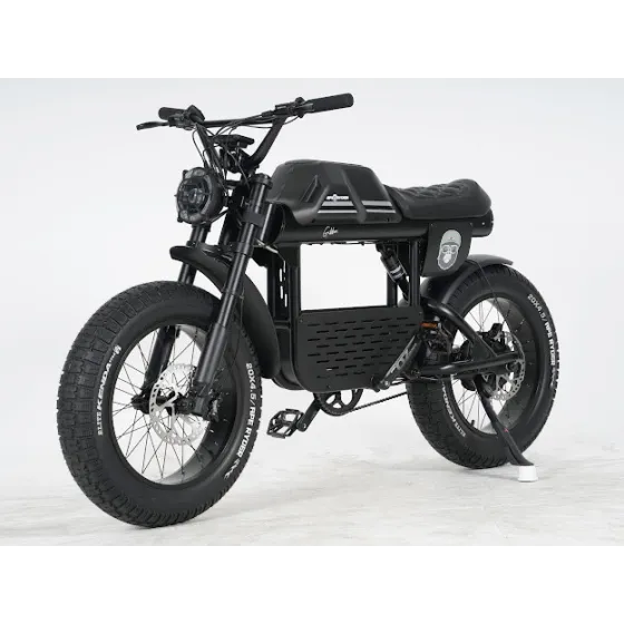 Ape Ryder Gibbon Electric Fatbike 250W / 20Ah / 48V