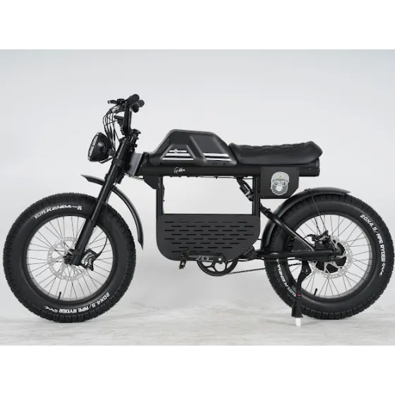 Ape Ryder Gibbon Electric Fatbike 250W / 20Ah / 48V