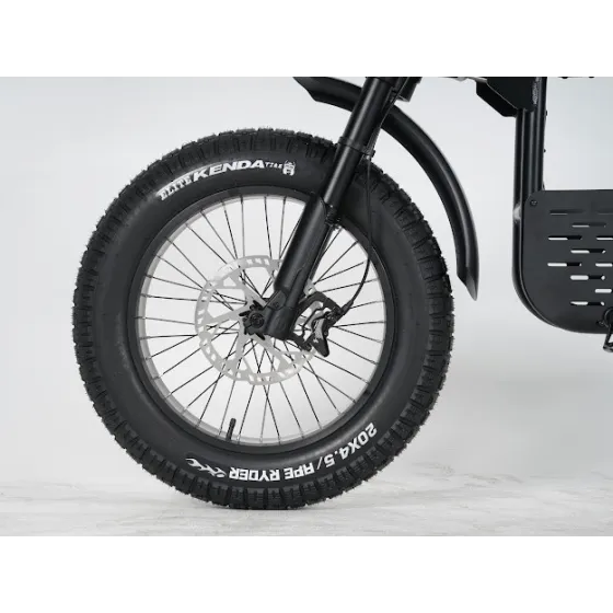 Ape Ryder Gibbon Electric Fatbike 250W / 20Ah / 48V